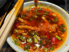 -矮板凳老火锅(宽窄巷子店)