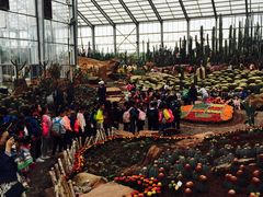 -南通洲际绿博园