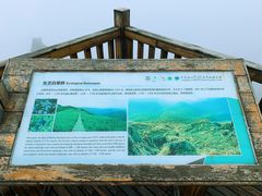 -白草畔自然风景区