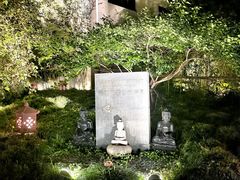 -普陀山雷迪森庄园