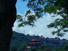 -顺峰山公园