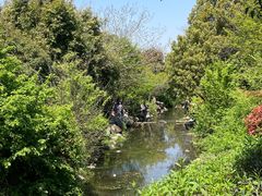 -白马涧龙池景区