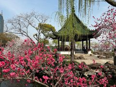 -无锡蠡湖国家湿地公园-蠡园