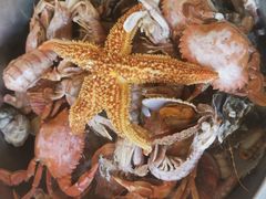 -旺角小渔村(幸福中路店)