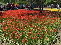 -长春公园(普阳街道)