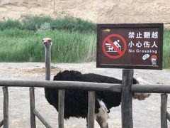 -水洞沟旅游区