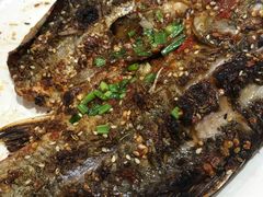 -龚海宝· 烧烤· 羊肉原切挂糊更好吃(庄市店)