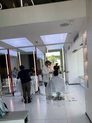 点击看大图 -金棕榈