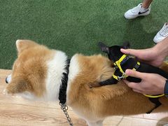 -YCHL Studios健身工作室(市二宫店)