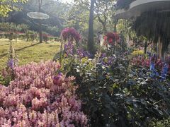 -广州市白云山风景名胜区