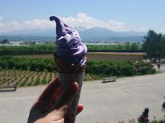 -富田农场