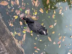 -海南热带野生动植物园