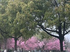 -艾溪湖湿地公园