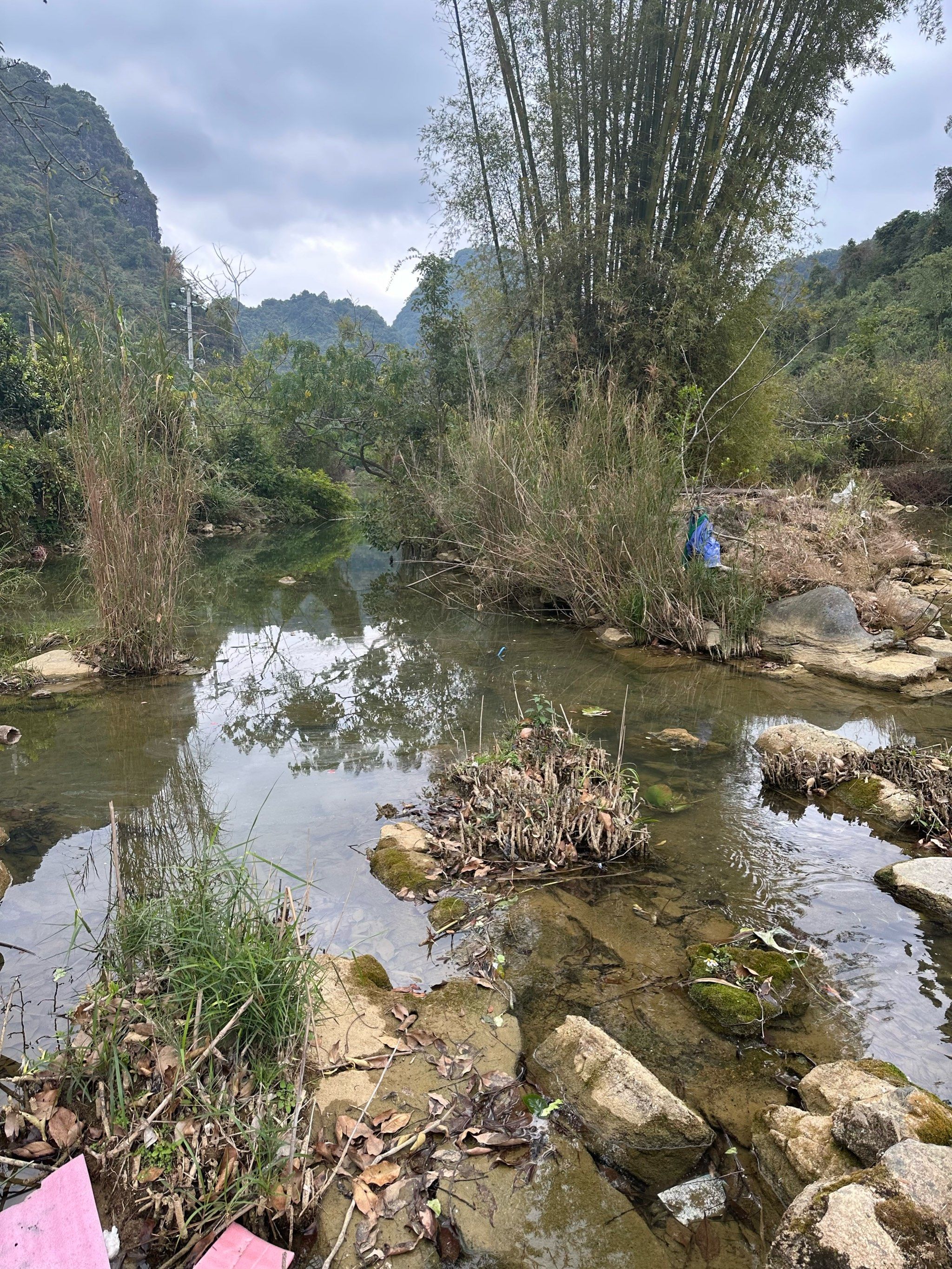 过年的农村 山清水秀 风景无限好 #0元