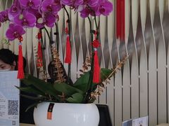 -天津水游城丽筠酒店