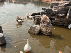 -木兰水镇旅游景区