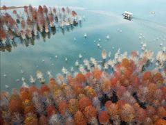 -水墨汀溪风景区