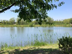 -大兴滨河森林公园