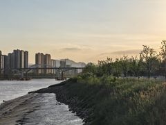 -江心屿景区
