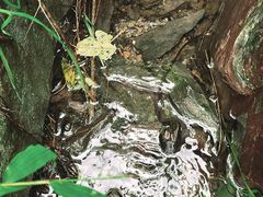 -北京西山国家森林公园