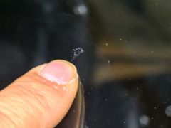 -福耀汽车玻璃(浦东店)