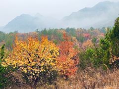 -百里山水画廊乌龙峡谷