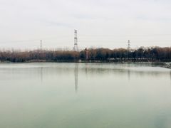 -昆山城市生态森林公园