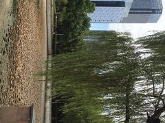 -天鹅湖体育公园