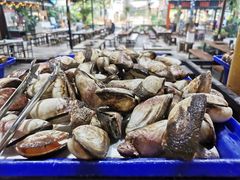 -Jomtien Talay Pao Pattaya