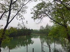-西溪国家湿地公园