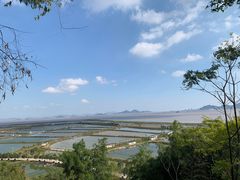 -蛇蟠岛