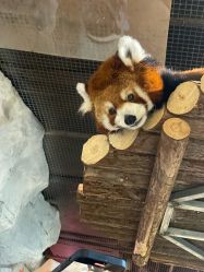 -Zoolung Zoolung动物主题公园(海信广场店)