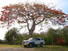-日军最后司令部遗址