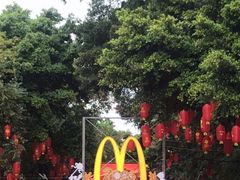 -越秀西湖花市(广州城市广场花卉店)