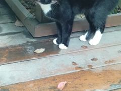 -昆山城市生态森林公园