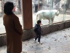 -南昌动物园