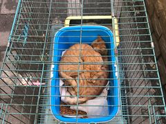 -海派铜锣湾(打浦路店)