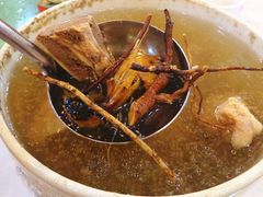 鸡骨草五指毛桃汤-秋色客家菜(南山店)