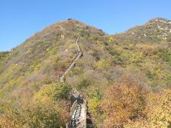 -大岭沟猕猴桃谷风景区
