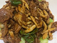 野菌鲜牛柳-小贝壳酒楼(经九路店)