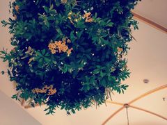 -莫奈花园法式蛋糕