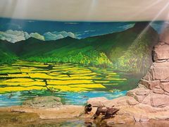 -上海海洋水族馆