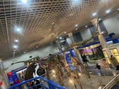 -国家自然博物馆