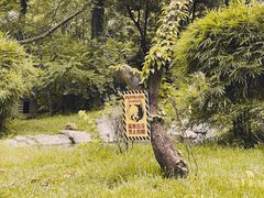 -广州长隆野生动物世界