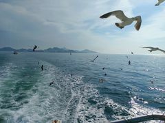 -海驴岛(荣成市)