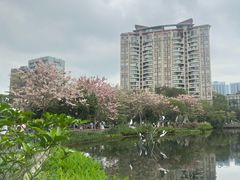 -四海公园(南山区)