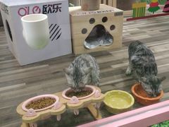 -吾悦广场(天津和平店)