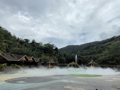 -西双版纳原始森林公园