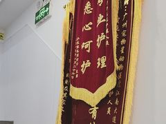 -宠物星动物医院·眼科·异宠·猫科(江南大道总院)