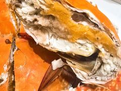 -北塘海鲜·天津菜·鲅鱼水饺是一绝(大光明桥旗舰店)